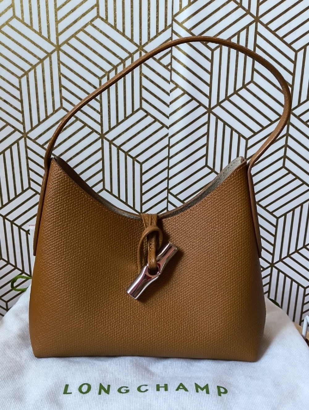 Small Longchamp Brown Leather Shoulder Bag with Silver Accent